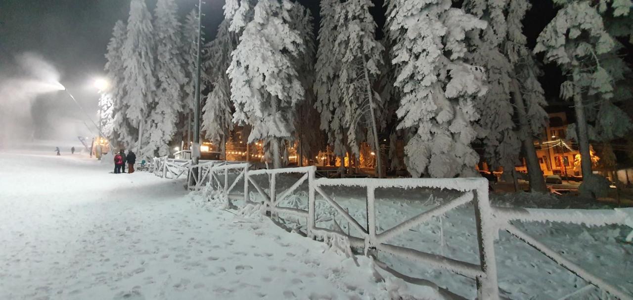 Fox Boutique Apartment Borovets Gardens 외부 사진