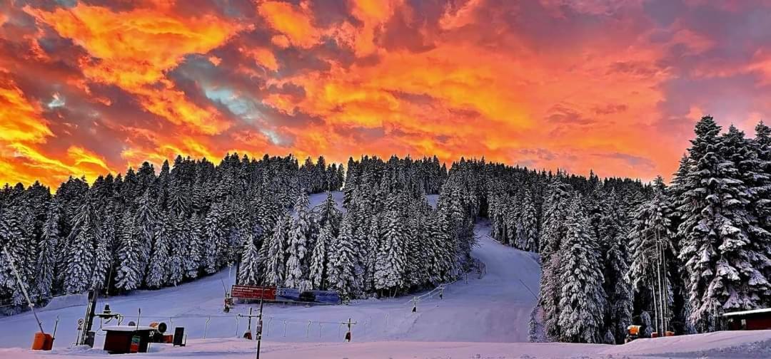 Fox Boutique Apartment Borovets Gardens 외부 사진